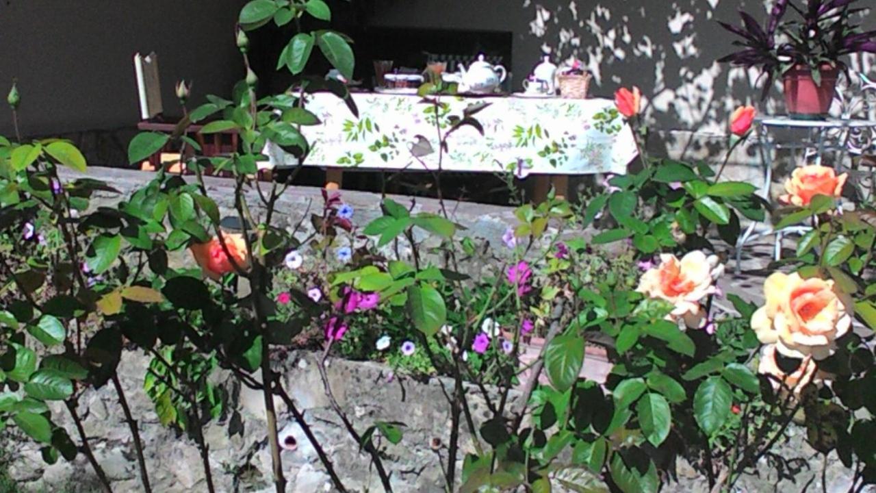 Bed and Breakfast Casa Ciosse Grognardo Exterior foto